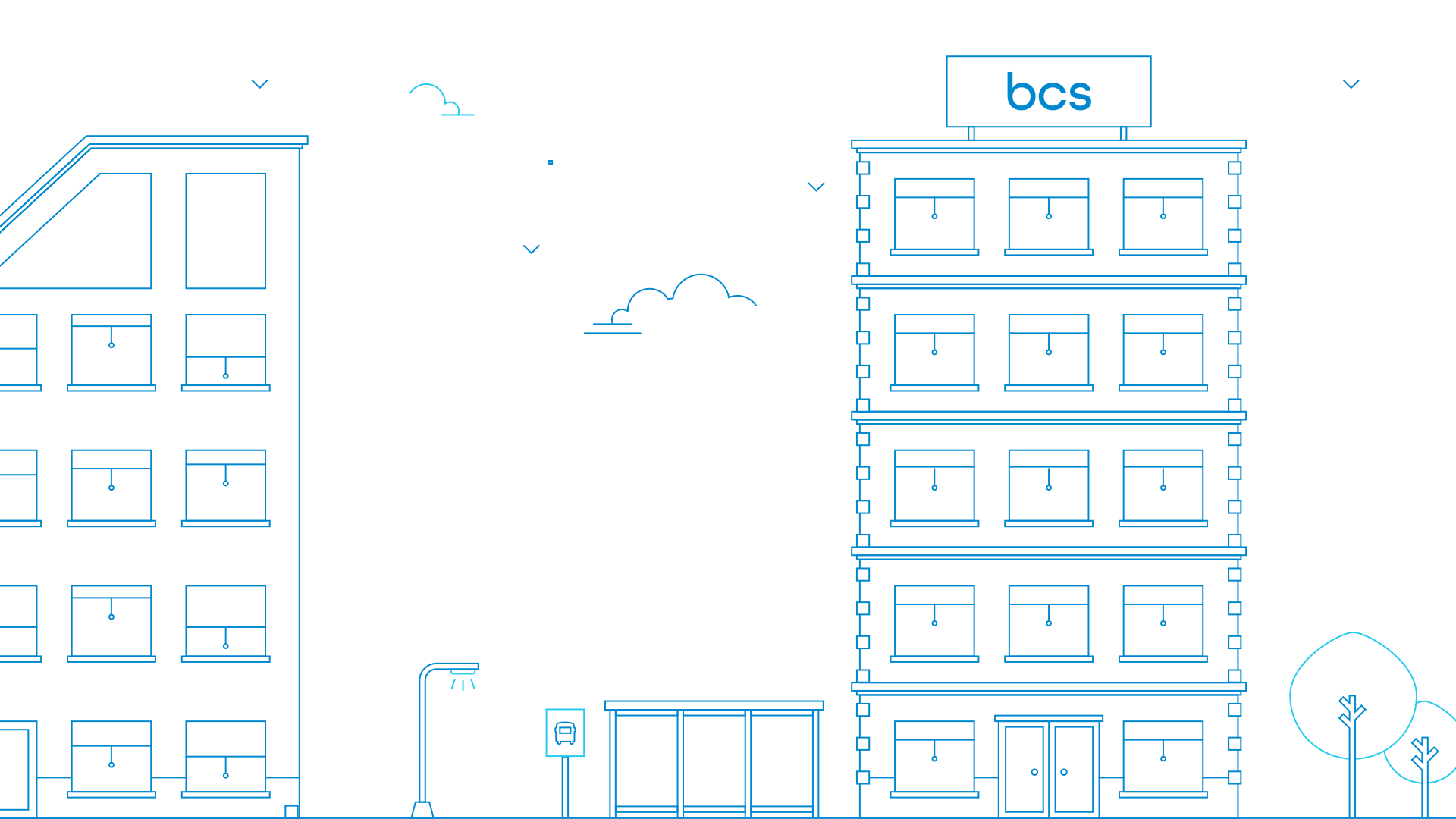 BCS Case beeld 2